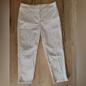 Ann Taylor Women’s Striped Women’s Striped Ankle Pants -Size 6 Curvy